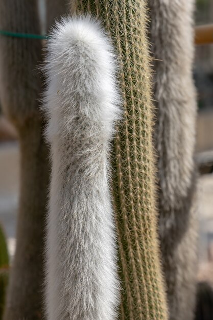 A close-up shot of various textures and fabrics commonly used in androgynous winter fashion, including chunky knit sweaters, wool scarves, corduroy pants, and leather boots. The color palette is muted and earthy, with pops of deep jewel tones.