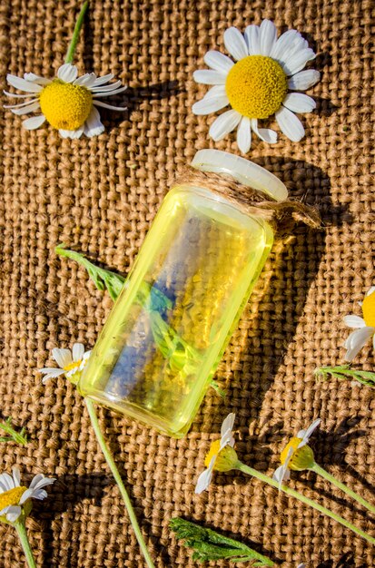 A beautifully arranged shot of natural skincare ingredients: aloe vera leaves, chamomile flowers, and a small vial of hyaluronic acid serum, suggesting purity and efficacy.