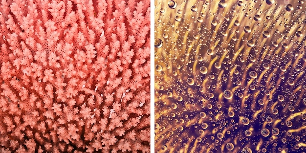 A microscopic view of skin pores before and after using the $25 face mask. The 